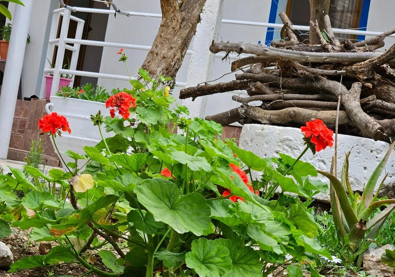 Aeria Rooms Himare Guest house